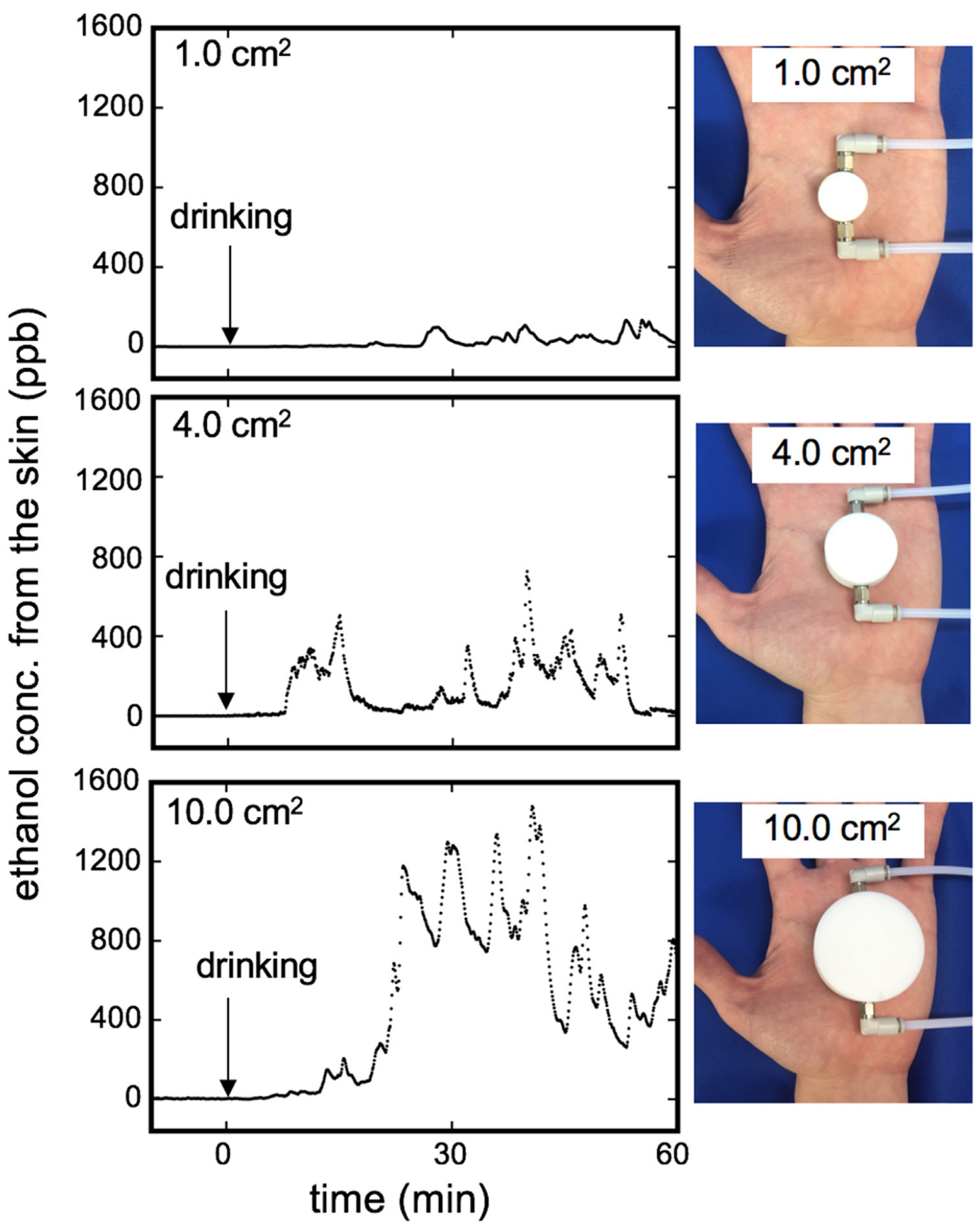 Real-time monitoring of skin ethanol gas by a high-sensitivity gas phase biosensor (bio-sniffer) for the non-invasive evaluation of volatile blood compounds